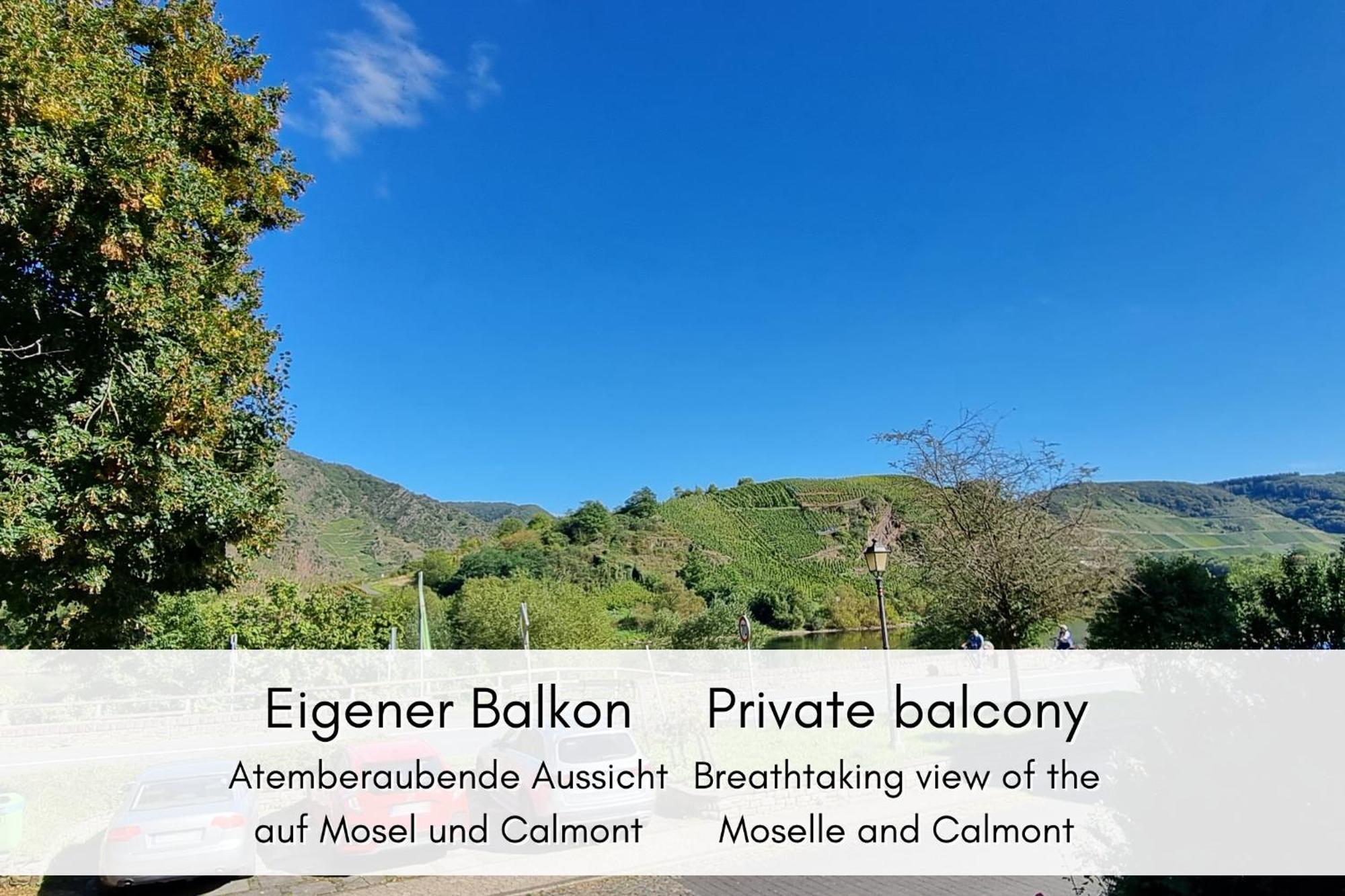 布雷姆Winzerhaus Am Calmont - Moselidyll Im Winzerhaus公寓 外观 照片