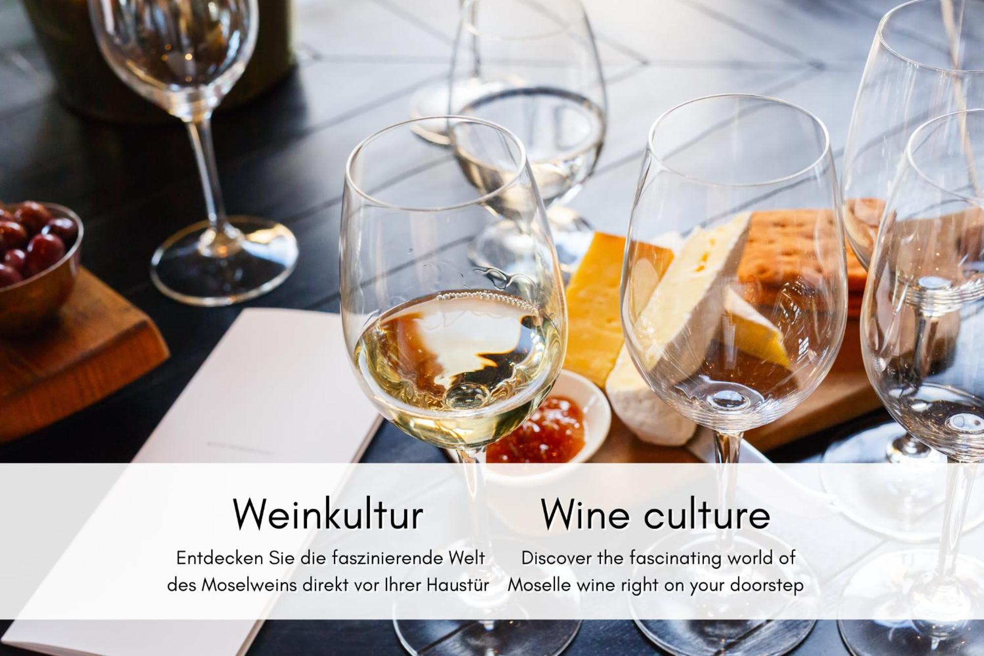 布雷姆Winzerhaus Am Calmont - Moselidyll Im Winzerhaus公寓 外观 照片