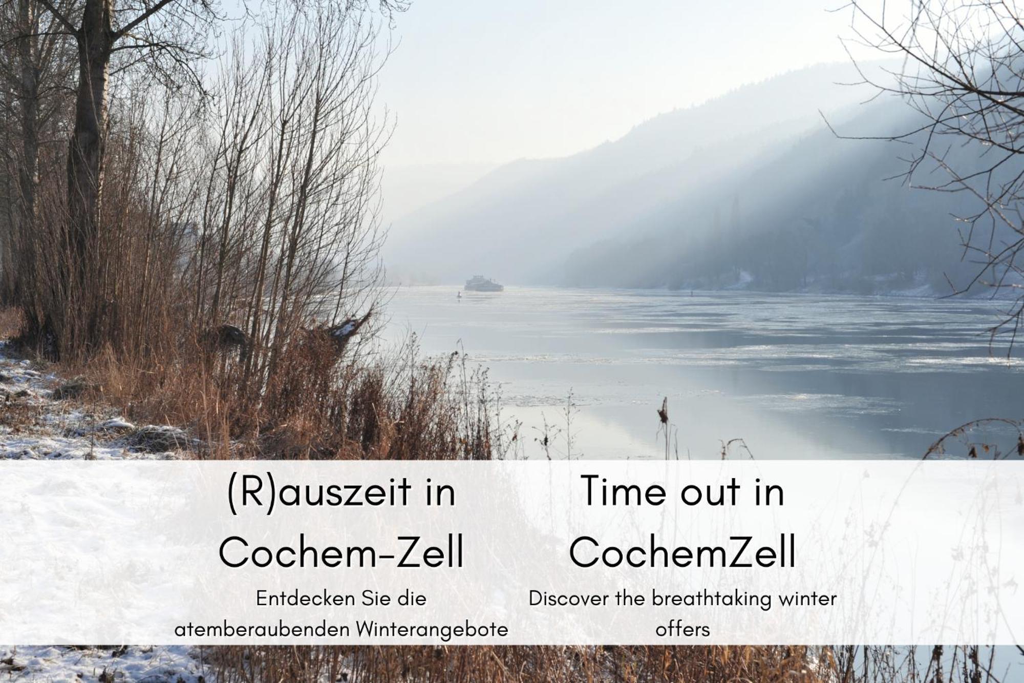 布雷姆Winzerhaus Am Calmont - Moselidyll Im Winzerhaus公寓 外观 照片