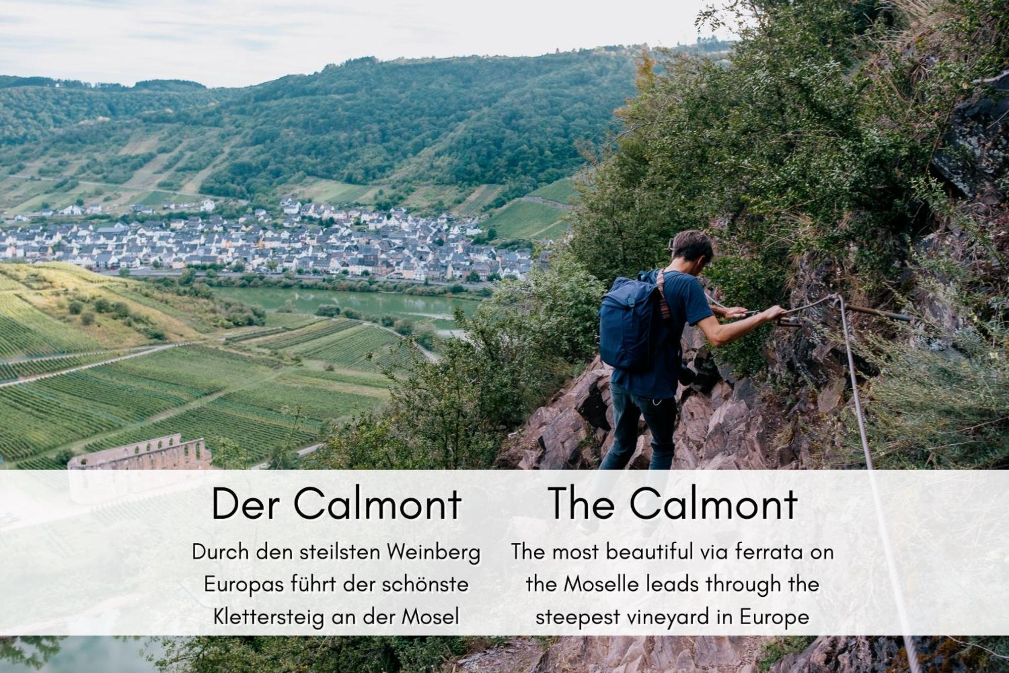 布雷姆Winzerhaus Am Calmont - Moselidyll Im Winzerhaus公寓 外观 照片